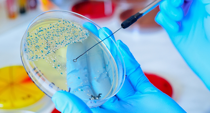 Microbiology
